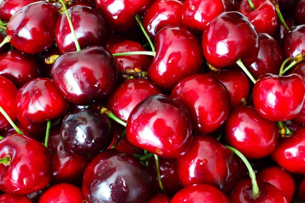 Where to Go Cherry Picking in Southern California
