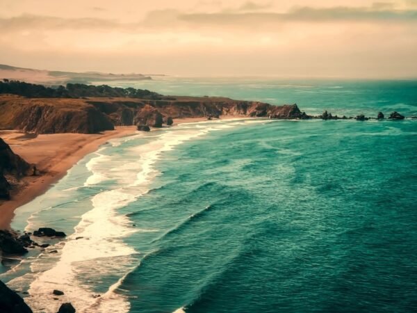 Who were the Californios? Unveiling their History & Culture