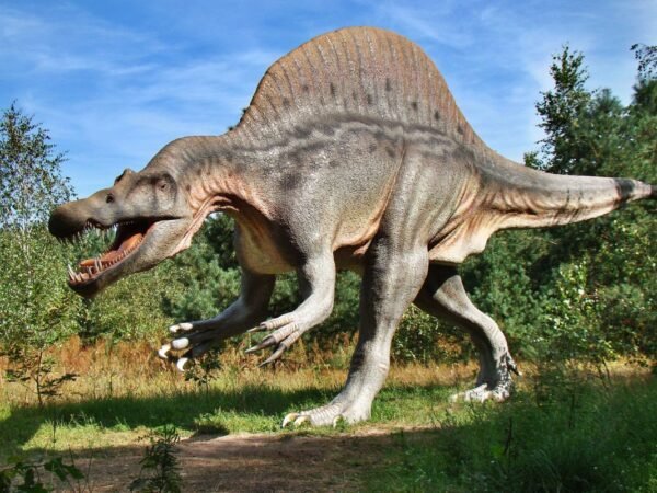 What Dinosaurs Lived in California? Guide to Prehistoric Discoveries