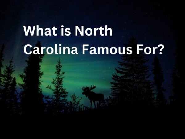 What is North Carolina Famous For? 35 Fun Facts & Famous Food!