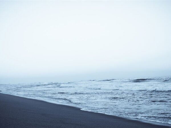 When Does the New Season of Jersey Shore Start? Watch Online Now!