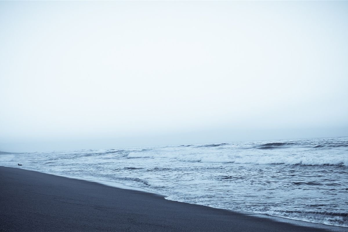 When Does the New Season of Jersey Shore Start? Watch Online Now!