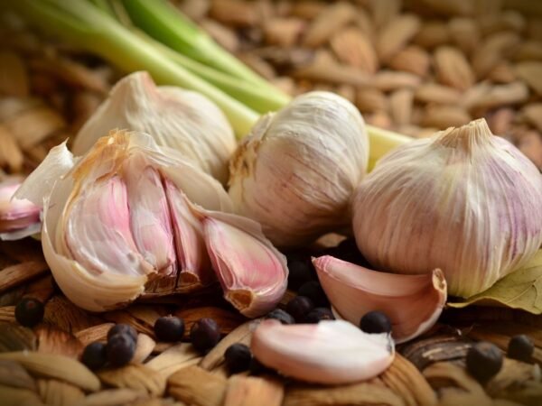 When to Plant Garlic in Ohio: Fall Planting Guide