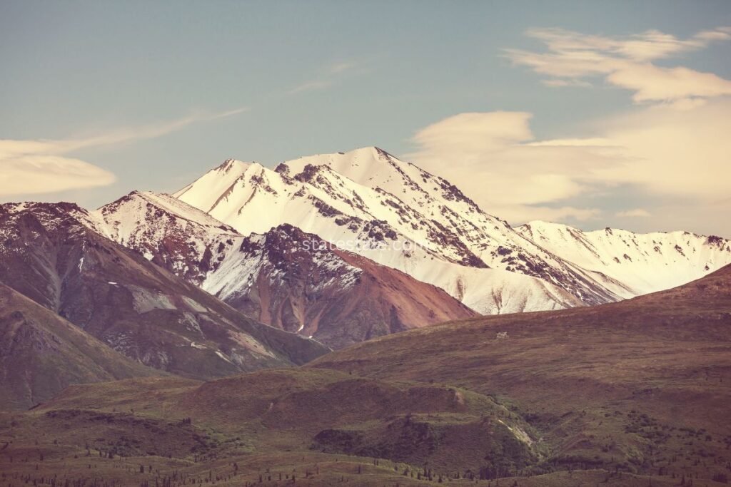 Alaskan Scenery and Fauna