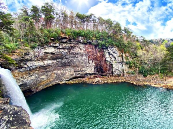 Unveiling Alabamas Teaching Credentials: Alabama Teacher Certification Lookup