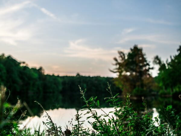 Unraveling the Path of Destruction: Where Alabama Tornadoes Struck