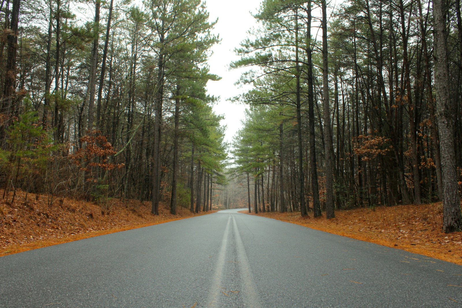 Unraveling the Miles: How Far Apart are Alabama and North Carolina?