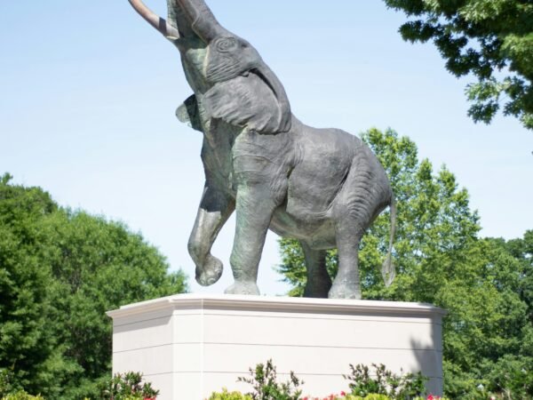 From History to Entertainment: What to Do in Montgomery, Alabama