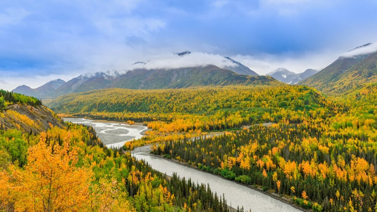 Girdwood Calling: What to Do in this Charming Alaskan Town
