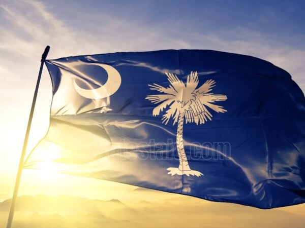 South Carolina state flag | History, symbolism, and significance